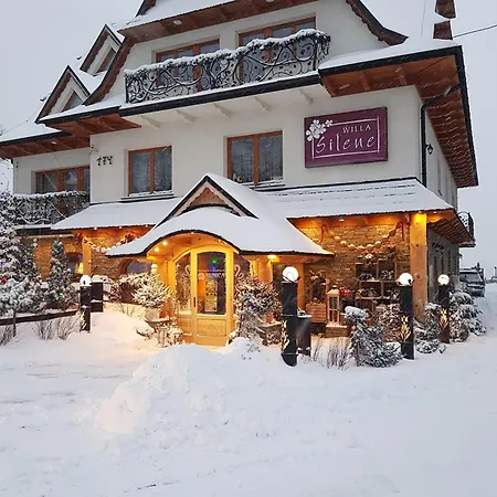 住宿加早餐酒店 Silene - Goralska Muzyka Na Zywo, Blisko Term I Wyciagow Narciarskich