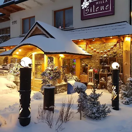 Silene - Goralska Muzyka Na Zywo, Blisko Term I Wyciagow Narciarskich Bed & Breakfast